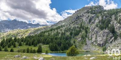 Local commercial - 570 m²