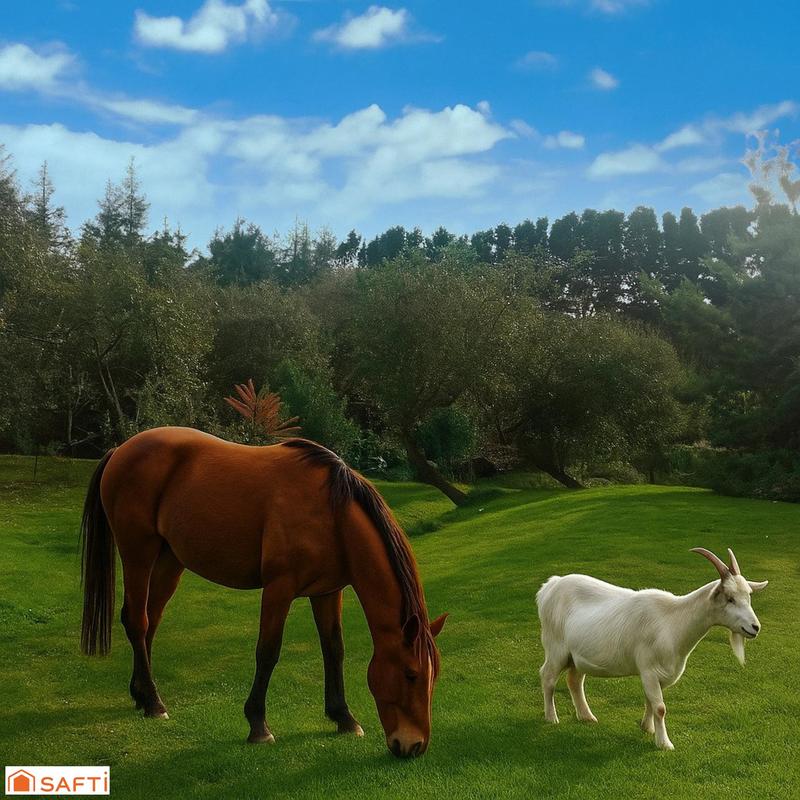 Maison - 120 m² - 4 pièces