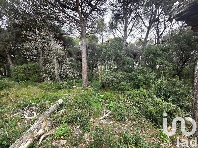 Terrain agricole - 20 000 m²