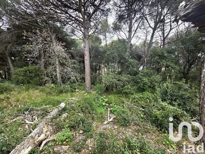 Terrain agricole - 20 000 m²