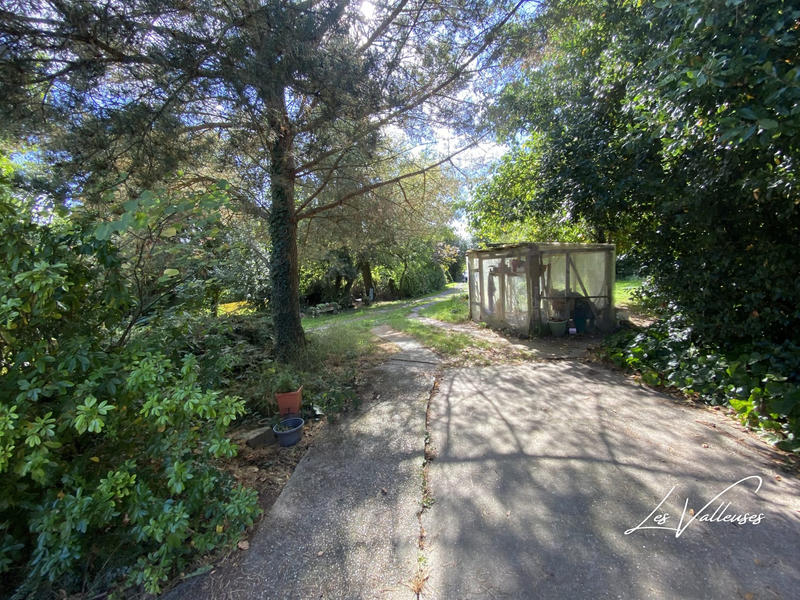 Viager - Maison - 69 m² - 4 pièces