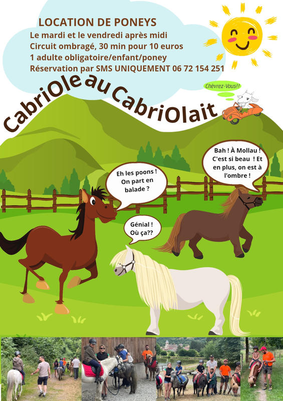 Balades à poney - location de poney