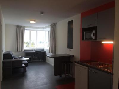 Studio - 19 m² - 1 pièce