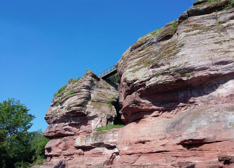 Visite guidée - Saverne, tour de ville en bus