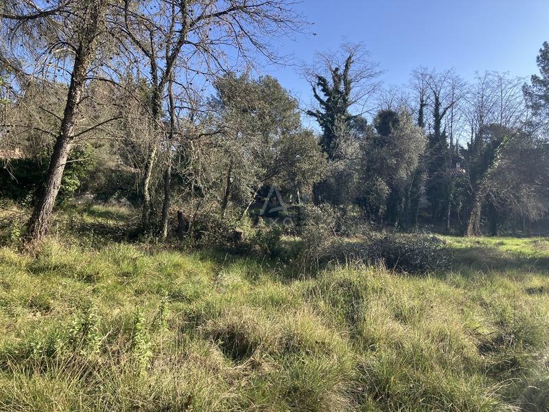 Terrain constructible - 11 000 m²