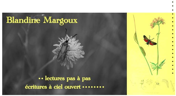 Vivian Maier, peut-être •  Atelier d'écriture créative