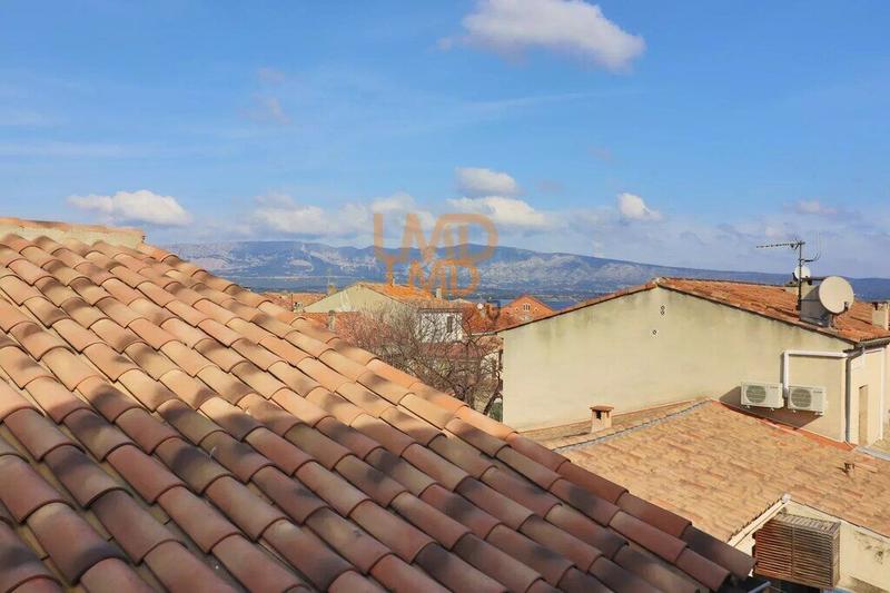 Hôtel particulier - 665 m²