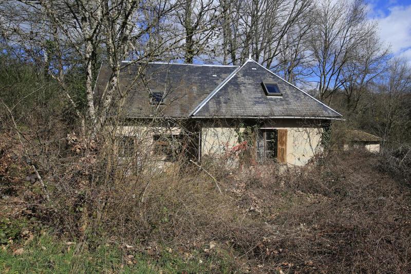 Château - 1 500 m² - 40 pièces