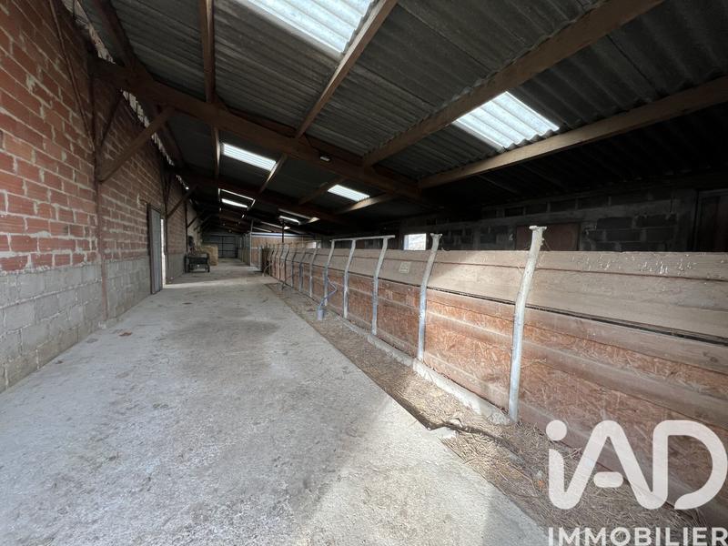 Ferme - 150 m² - 5 pièces