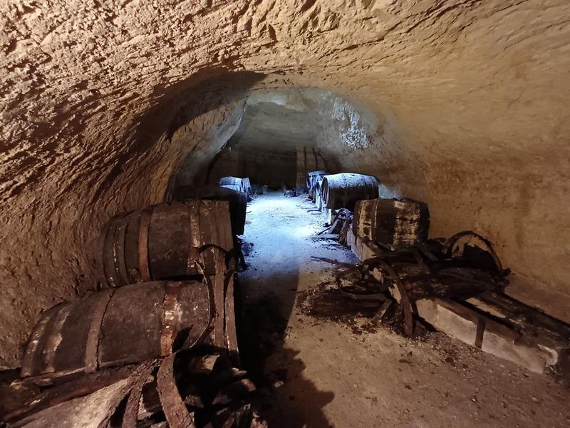 Terrain constructible - 1 000 m²