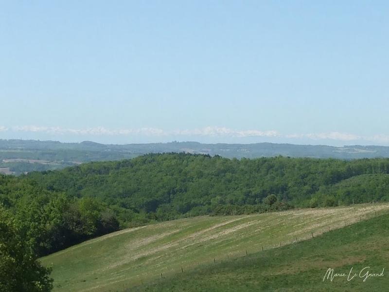 Maison en pierre - 162 m² - 8 pièces