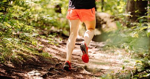 Trail des Comtes de Hanau-Lichtenberg