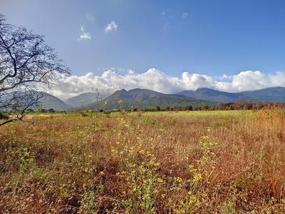 Terrain agricole - 2 231 m²