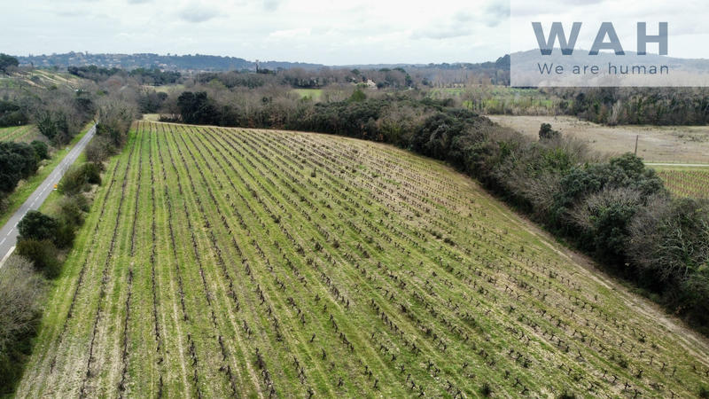 Terrain - 117 320 m²