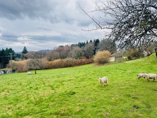 Terrain constructible - 4 954 m²