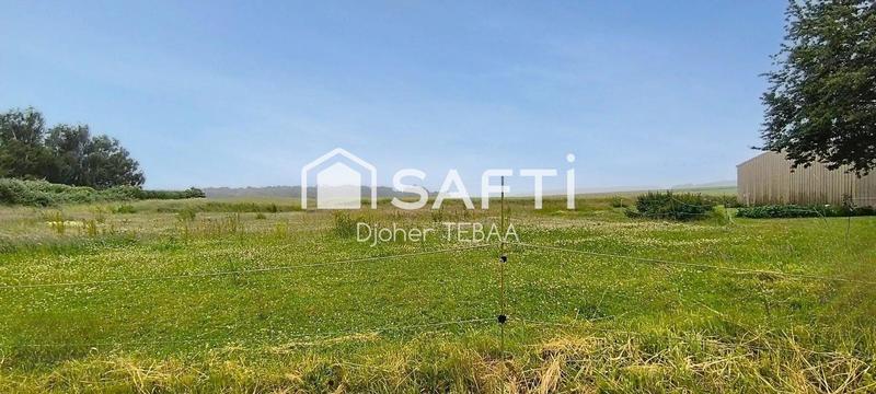 Terrain - 890 m²