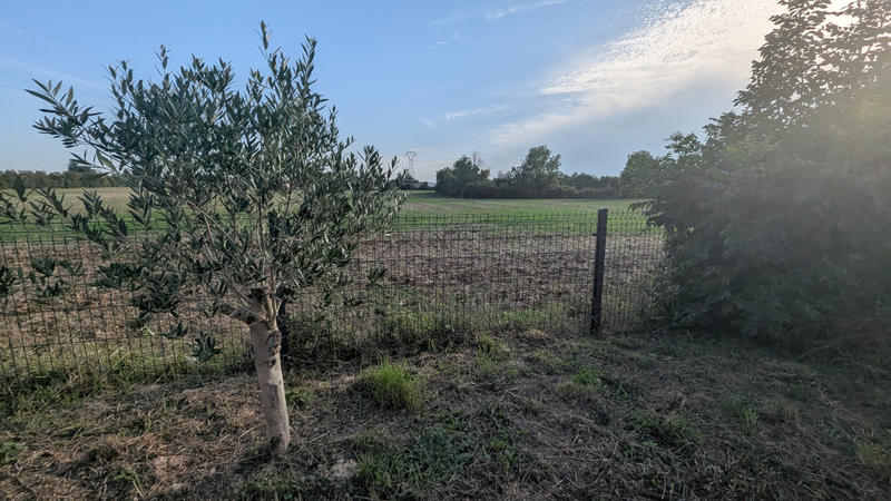 Maison - 138 m² - 7 pièces