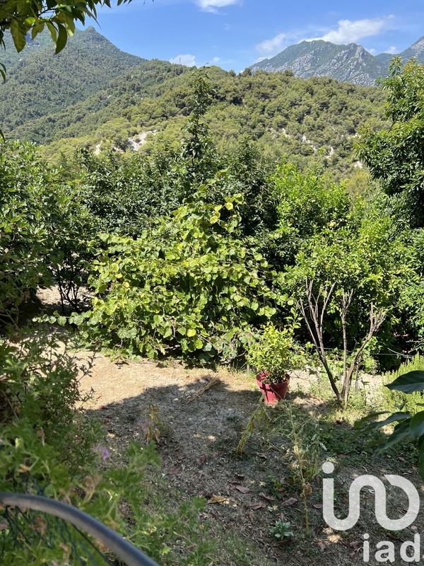 Terrain - 1 516 m²