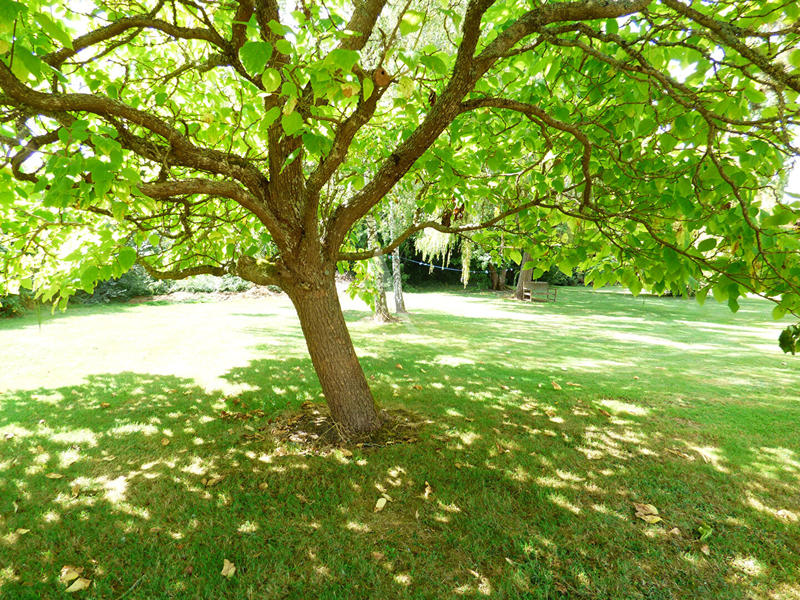 Maison - 303 m² - 7 pièces