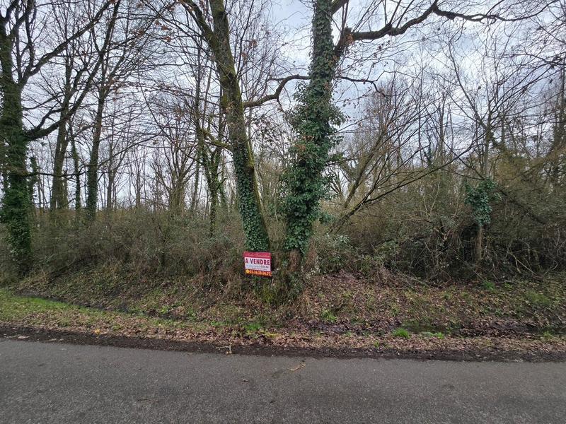 Terrain de loisirs - 11 130 m²