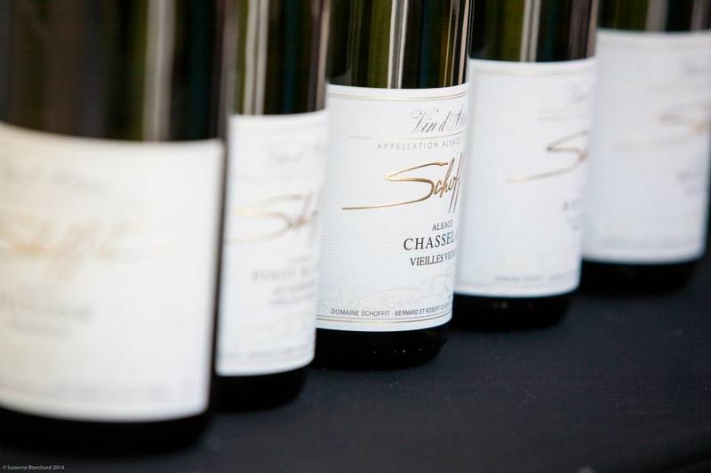 Mini foire aux vins - Domaine Schoffit