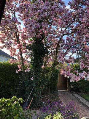 Villa - 140 m² - 5 pièces