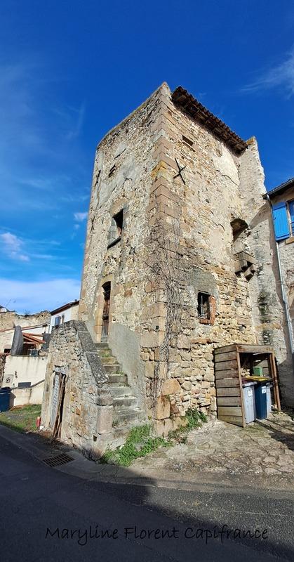 Maison en pierre - 175 m² - 10 pièces