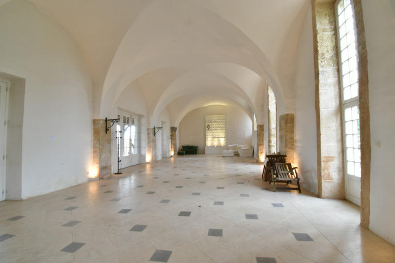 Château - 2 163 m² - 40 pièces