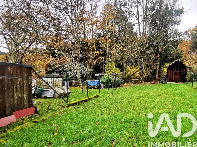 Appartement - 50 m² - 3 pièces