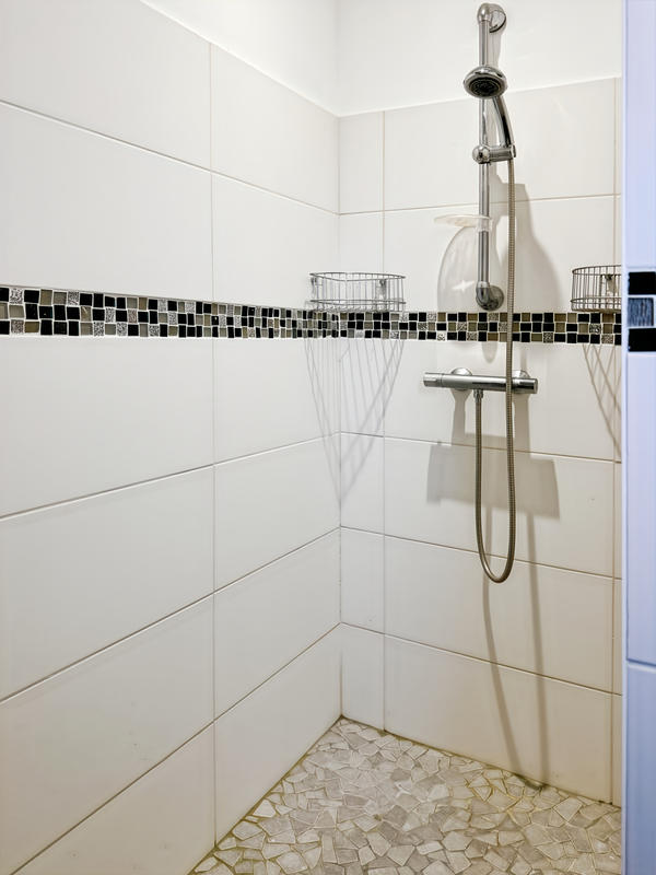 Viager - Maison - 100 m² - 4 pièces