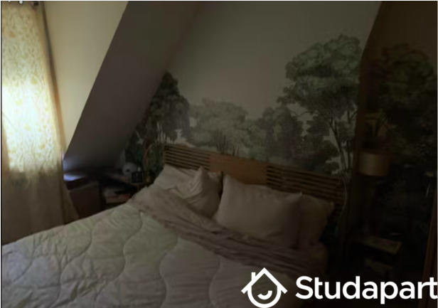 Appartement - 30 m² - 2 pièces