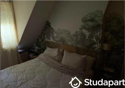 Appartement - 30 m² - 2 pièces