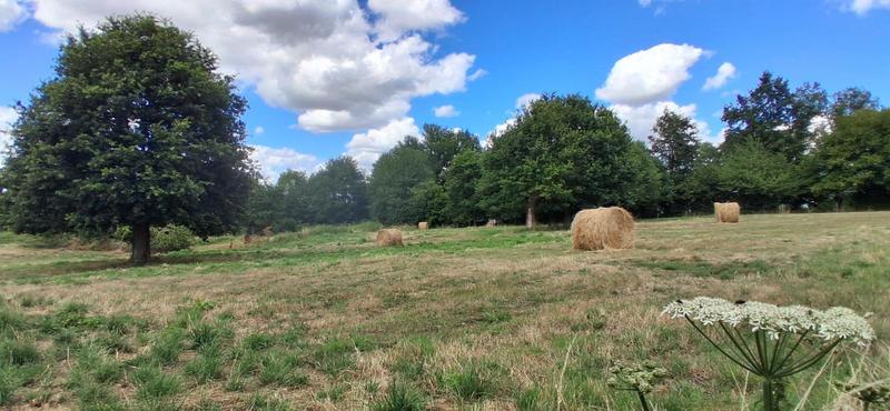 Maison - 185 m² - 6 pièces