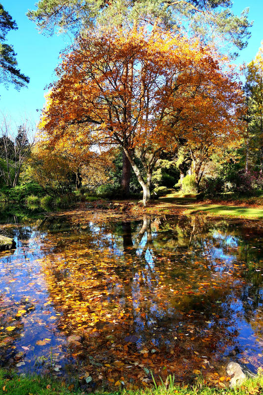 Concours photos : Automne