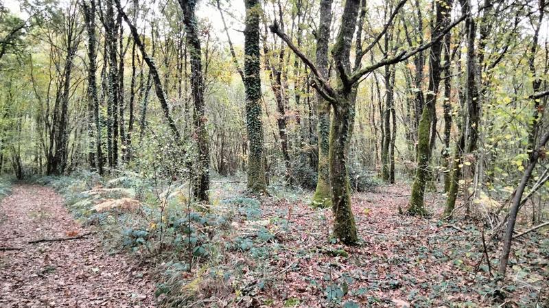 Terrain - 18 490 m²