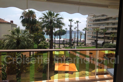 Appartement - 33 m² - 1 pièce