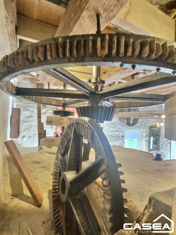 Maison ancienne - 300 m² - 15 pièces