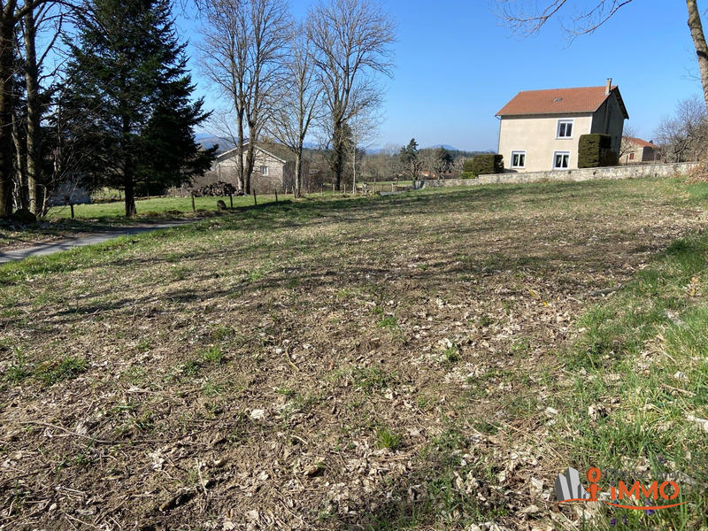 Terrain - 2 175 m²