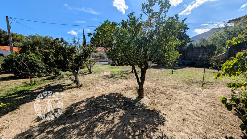 Viager - Maison - 205 m² - 7 pièces