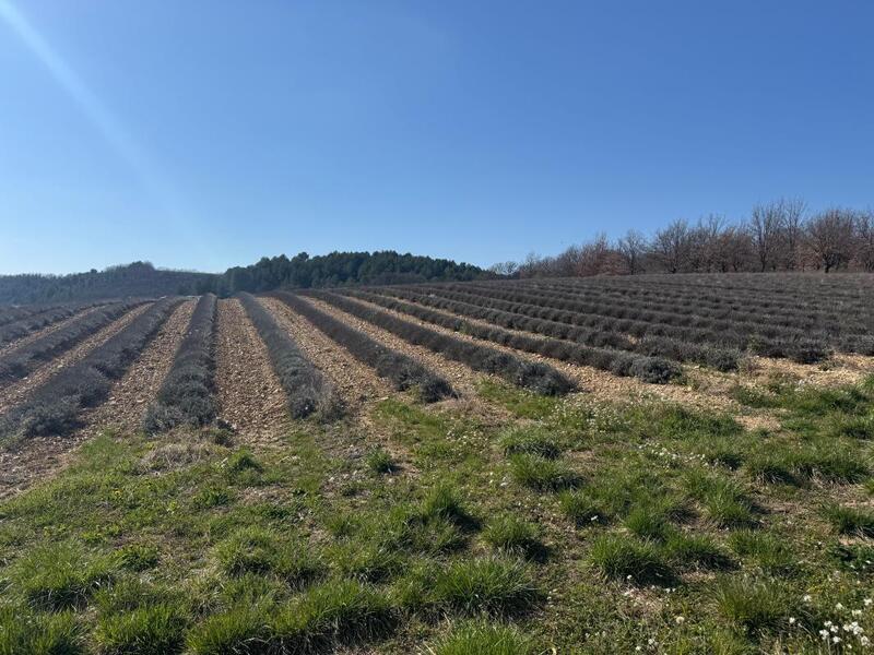 Terrain constructible - 755 m²