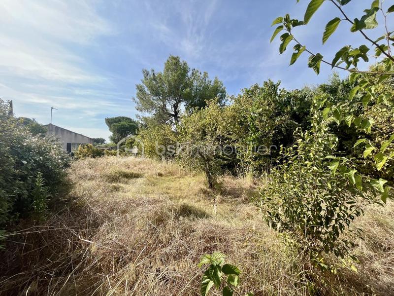 Terrain - 450 m²