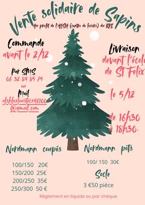 Une vente solidaire de sapins de Noël à Saint-Félix
