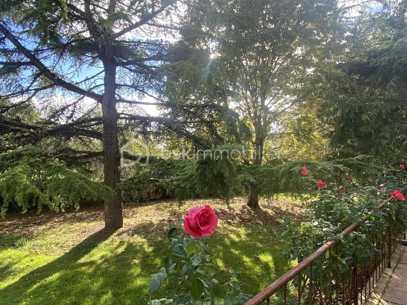 Maison en pierre - 160 m² - 5 pièces