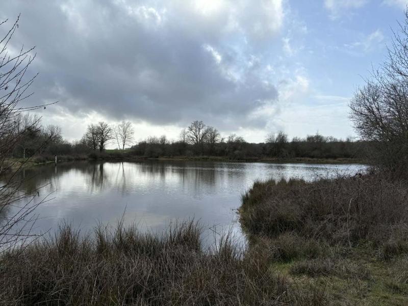 Étang - 123 995 m²