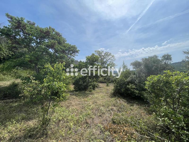 Terrain - 7 932 m²
