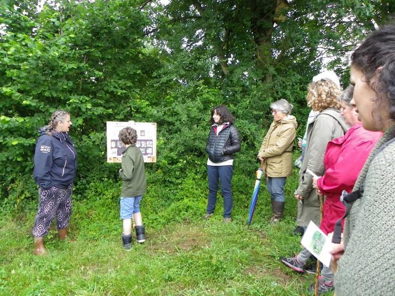 Balade dégustation  du domaine viticole Gutizia sur réservation