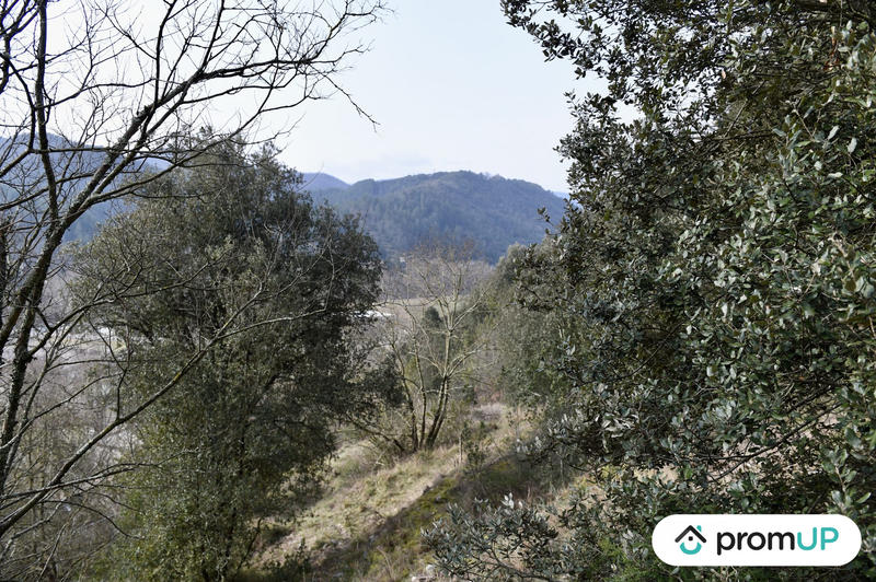 Terrain agricole - 2 780 m²