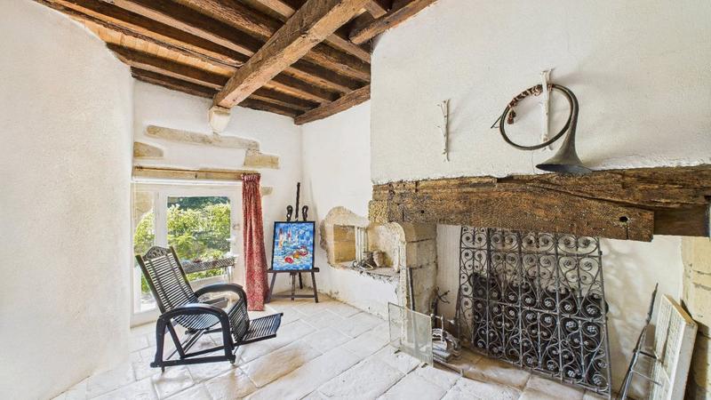 Maison en pierre - 320 m² - 7 pièces