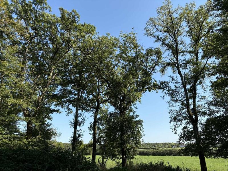 Terrain agricole - 1 400 000 m²