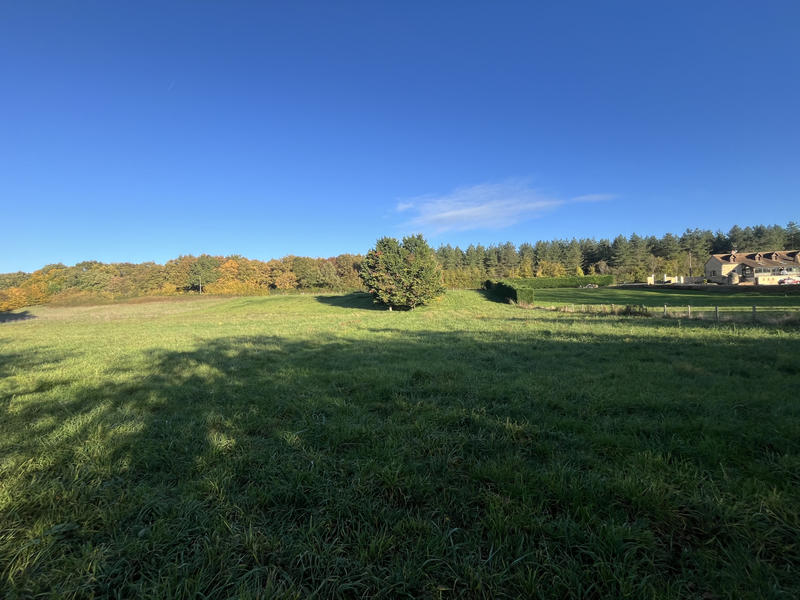 Terrain - 9 851 m²